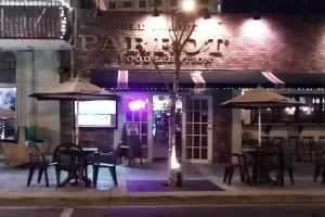 parrot at night