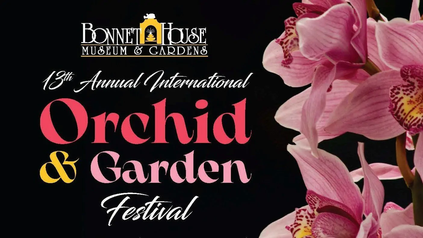 orchid festival