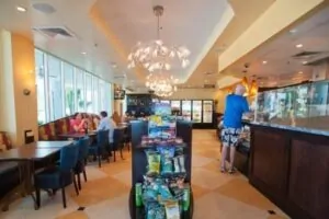 restaurants-bars-v863559-41-800